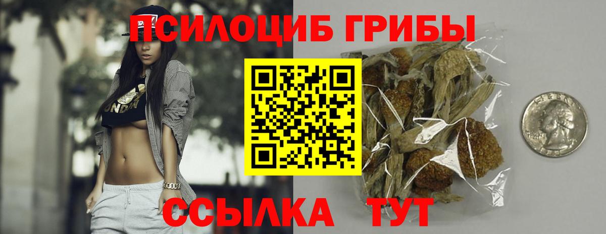 Псилоцибиновые грибы прущие грибы  Вход с VPN  Галлюциногенные грибы GOLDEN TEACHER  Кинель 